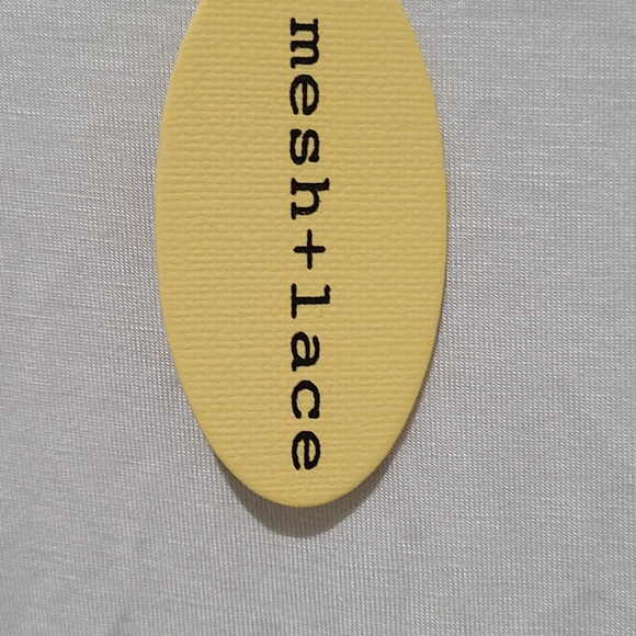 Mesh+Lace Tee Shirt. - Picture 8 of 8
